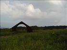 10 Bokor